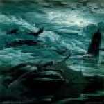 thumb_072 (Medium).jpg